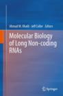 Image for Molecular Biology of Long Non-coding RNAs