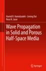 Image for Wave propagation in solid and porous half-space media