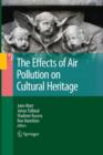 Image for The Effects of Air Pollution on Cultural Heritage
