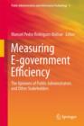 Image for Measuring e-government efficiency  : the opinions of public administrators and other stakeholders