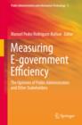 Image for Measuring e-government efficiency: the opinions of public administrators and other stakeholders