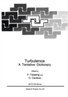 Image for Turbulence: A Tentative Dictionary