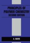 Image for Principles of polymer chemistry