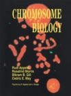Image for Chromosome Biology