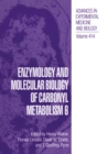 Image for Enzymology and Molecular Biology of Carbonyl Metabolism 6 : v.414