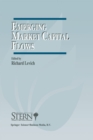 Image for Emerging Market Capital Flows: Proceedings of a Conference held at the Stern School of Business, New York University on May 23-24, 1996 : v.2