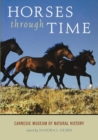Image for Horses through time