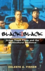 Image for Black on black: urban youth films and the multicultural audience