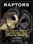 Image for Raptors: the eagles, hawks, falcons, and owls of North America : a coloring album