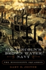 Image for Mr. Lincoln&#39;s Brown Water Navy: The Mississippi Squadron
