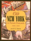 Image for Old New York in picture postcards, 1900-1945