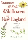 Image for Summer &amp; fall wildflowers of New England