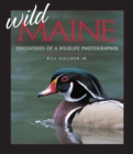 Image for Wild Maine: discoveries of a wildlife photographer