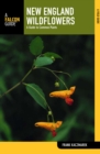 Image for New England Wildflowers: A Guide to Common Plants