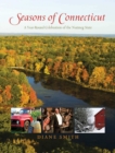 Image for Seasons of Connecticut: a year-round celebration of the Nutmeg State