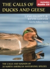 Image for Calls of ducks and geese