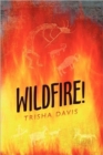 Image for Wildfire!