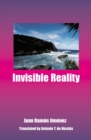 Image for Invisible Reality