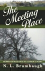 Image for The Meeting Place