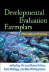 Image for Developmental evaluation exemplars  : principles in practice