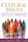 Image for Cultural issues in play therapy