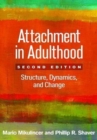 Image for Attachment in adulthood  : structure, dynamics, and change