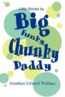 Image for Little Stories by Big Funky Chunky Daddy