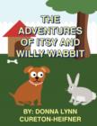 Image for The Adventures of Itsy and Willy Wabbit