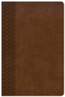 Image for CSB Everyday Study Bible, British Tan LeatherTouch