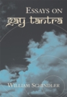 Image for Essays on Gay Tantra.