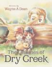 Image for The Gnomes of Dry Creek