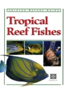 Image for Tropical Reef Fishes: Periplus Nature Guide