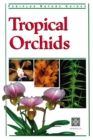 Image for Tropical Orchids of Southeast Asia.
