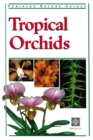 Image for Tropical Orchids