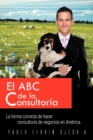 Image for El ABC de La Consultoria : La Forma Correcta de Hacer Consultoria de Negocios En America.