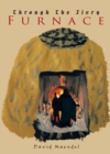 Image for Through the Fiery Furnace