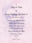 Image for Triad of Trials &amp; Some Prophets God Sent: The Minor Prophets &amp; Noah, Jonah &amp; Job