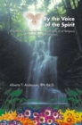 Image for By the Voice of the Spirit: A Spiritual Critique for Ministers and Laity of All Religious Affiliations, and Non Believers