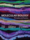 Image for Molecular biology  : principles and practice
