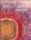 Image for Molecular Cell Biology