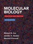 Image for Molecular biology  : principles and practice