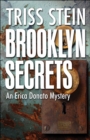 Image for Brooklyn Secrets: An Erica Donato Mystery
