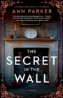 Image for The Secret in the Wall
