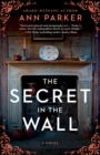 Image for The Secret in the Wall