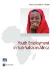 Image for Youth employment in Sub-Saharan Africa