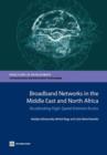 Image for Broadband networks in the Middle East and North Africa