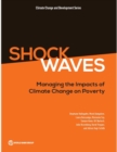 Image for Shock waves  : managing the impacts of climate change on poverty