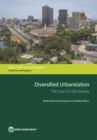 Image for Diversified Urbanization