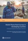Image for Mobile phone panel surveys in developing countries