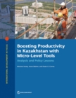 Image for Boosting Productivity in Kazakhstan with Micro-Level Tools